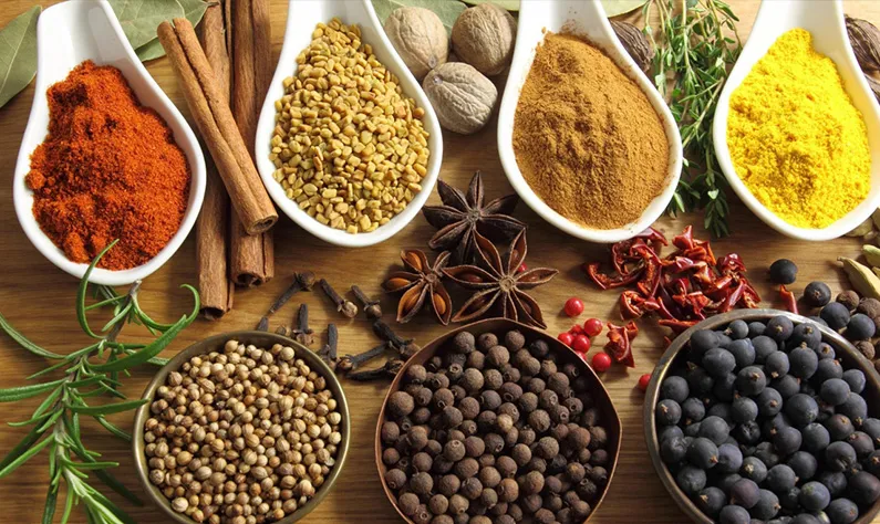 Spoons of ground Indian spices, wholesale spices Singapore